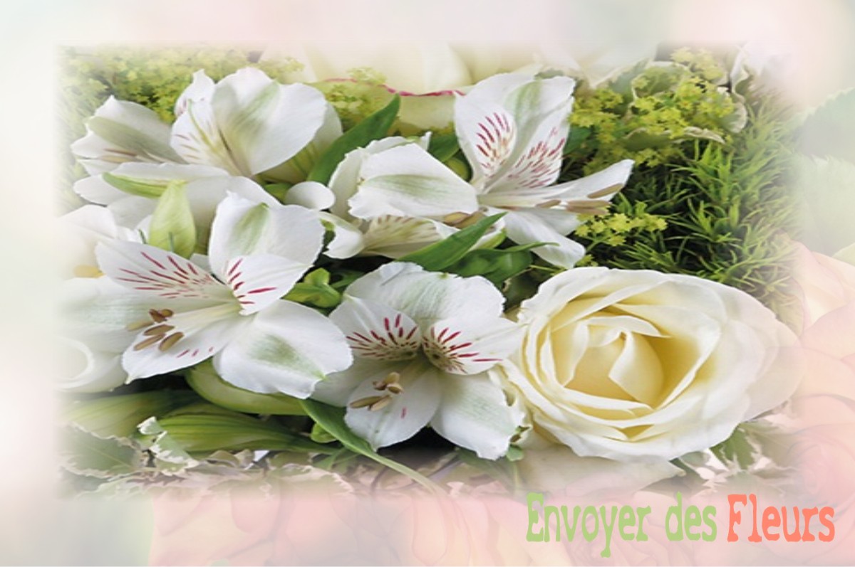 envoyer des fleurs à à ASNIERES-SUR-NOUERE